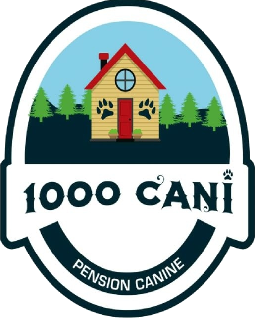1000 CANI - Pension Canine