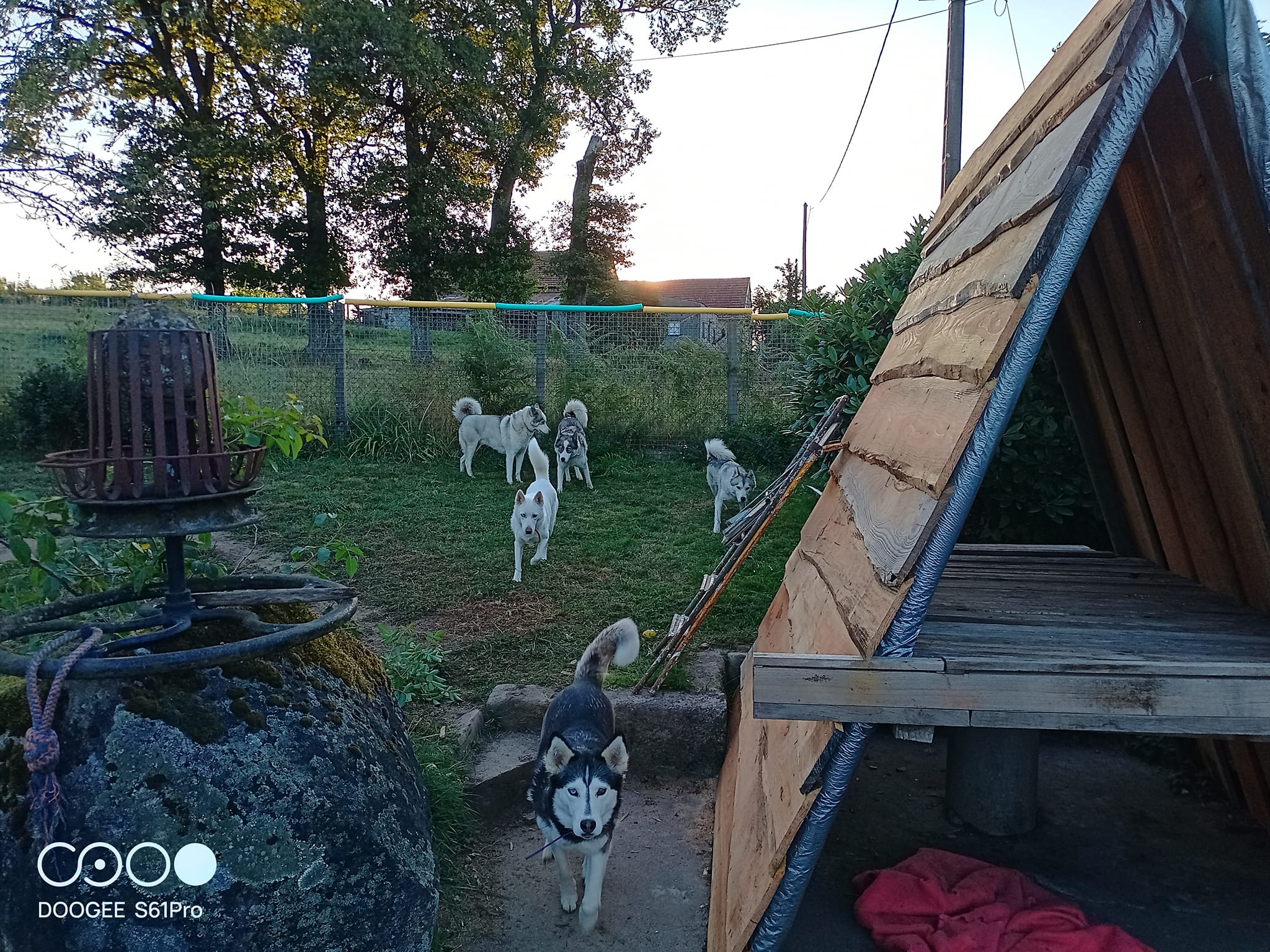 Photo pensionnaire 14