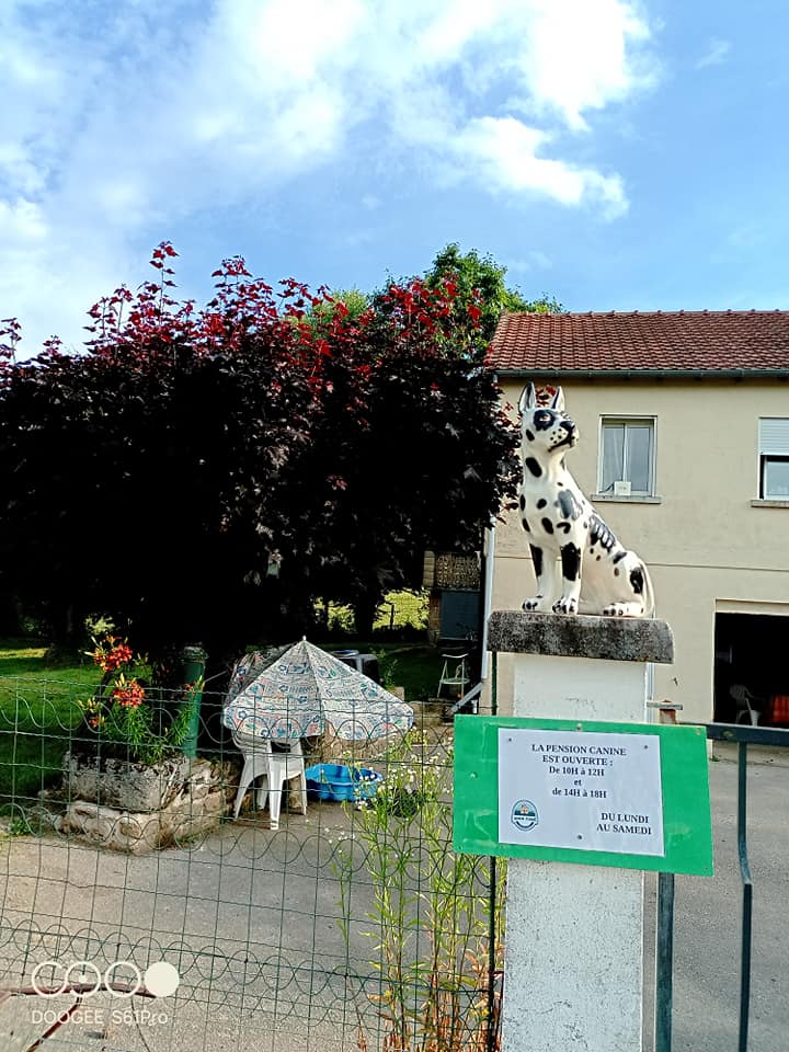 Entrée de la pension canine 1000 CANI